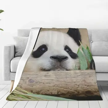 Одеяло FuBao Panda Fu Bao Теплое, уютное, всесезонное, комфортное одеяло для путешествий с роскошным постельным бельем