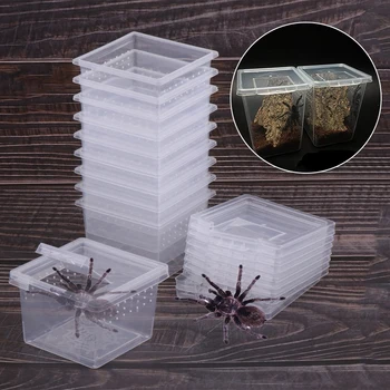 Пластиковый Ящик для кормления насекомых, жуков-пауков, Пластиковый Ящик для кормления Насекомых, Ящик Для выращивания Рептилий, Клетка для Вылупления, Прозрачный Контейнер для домашних животных