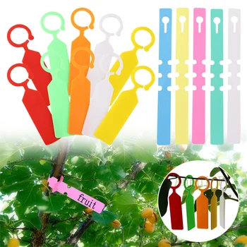 Этикетка с кольцом для садоводческих растений, пластиковая подвесная бирка, Водонепроницаемый классификационный знак, маркер для цветов на дереве, инструменты нескольких цветов 20/200 шт.